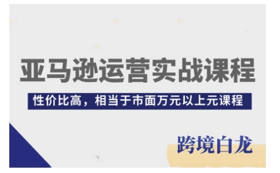 亚马逊运营实战课程，亚马逊从入门到精通，性价比高，相当于市面万元以上元课程-策里行间