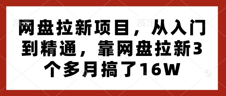 网盘拉新项目，从入门到精通，靠网盘拉新3个多月搞了16W-策里行间