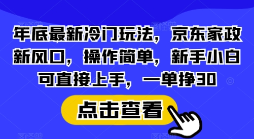 年底最新冷门玩法，京东家政新风口，操作简单，新手小白可直接上手，一单挣30【揭秘】-策里行间