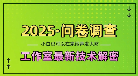 2025问卷调查最新工作室技术解密：一个人在家也可以闷声发大财，小白一天2张，可矩阵放大【揭秘】-策里行间