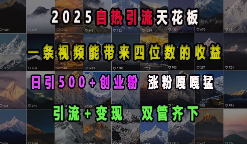 2025自热引流天花板，一条视频能带来四位数的收益，引流+变现双管齐下，日引500+创业粉，涨粉嘎嘎猛-策里行间