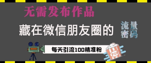 藏在微信朋友圈的流量密码，无需发布作品，单日引流100+精准创业粉【揭秘】-策里行间