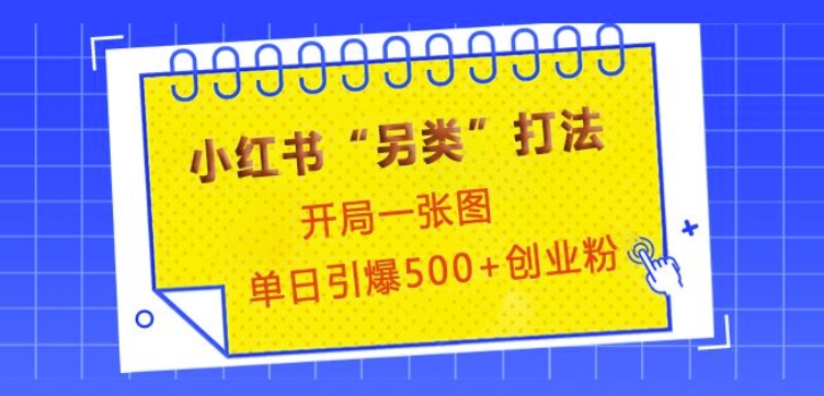 小红书“另类”打法，开局一张图，单日引爆500+精准创业粉【揭秘】-策里行间