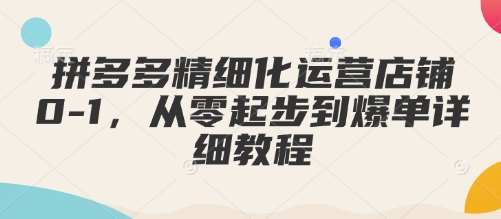 拼多多精细化运营店铺0-1，从零起步到爆单详细教程-策里行间