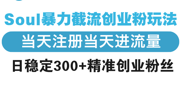 Soul暴力截流创业粉玩法，当天注册当天进流量，日稳定300+精准创业粉丝-策里行间