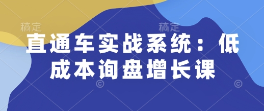 直通车实战系统：低成本询盘增长课，让个人通过技能实现升职加薪，让企业低成本获客，订单源源不断-策里行间