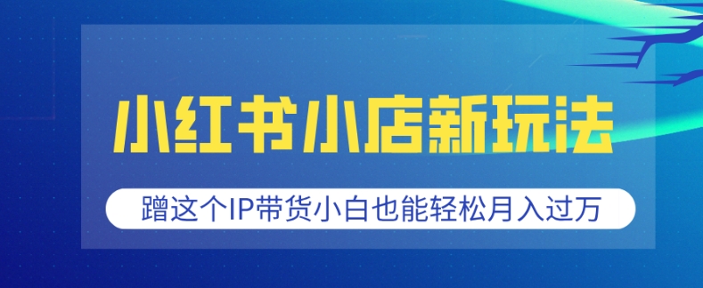 小红书小店新玩法，蹭这个IP带货，小白也能轻松月入过W【揭秘】-策里行间
