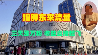 蹭胖东来流量，三天涨万粉，收益直接起飞-策里行间