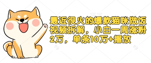 最近很火的爆款猫咪做饭视频拆解，小白一周涨粉2万，单条10万+播放(附保姆级教程)-策里行间