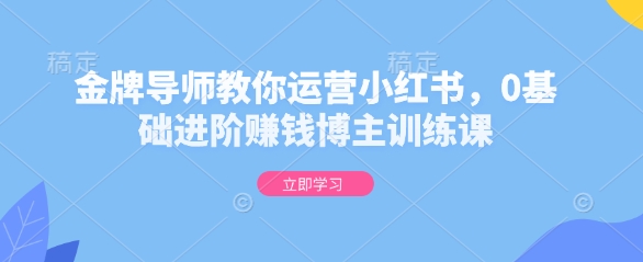 金牌导师教你运营小红书，0基础进阶赚钱博主训练课-策里行间
