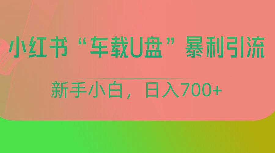 小红书“车载U盘”项目，暴利引流，新手小白轻松日入700+-策里行间
