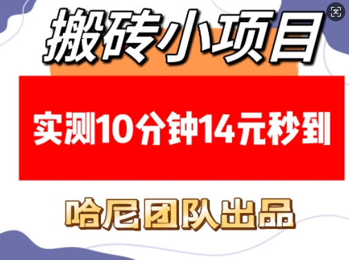 搬砖小项目，实测10分钟14元秒到，每天稳定几张(赠送必看稳定)-策里行间