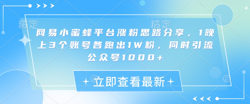 网易小蜜蜂平台涨粉思路分享，1晚上3个账号各跑出1W粉，同时引流公众号1000+-策里行间