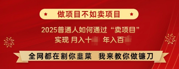必看，做项目不如卖项目，2025普通人如何通过“卖项目”实现月入十个，年入百个-策里行间