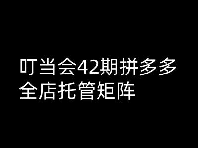 叮当会拼多多打爆班原创高阶技术第42期，拼多多全店托管矩阵-策里行间