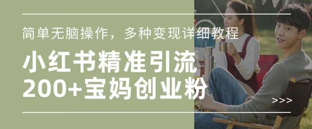小红书混剪日引200+宝妈创业粉，简单无脑操作，多种变现详细教程-策里行间
