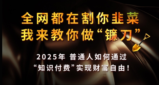 全网都在割你韭菜，我来教你做镰刀，2025年普通人如何通过 知识付费 实现财F自由【揭秘】-策里行间
