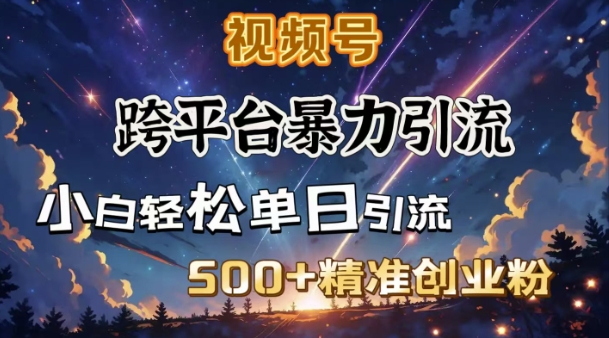 跨平台暴力引流，私域完美闭环，日引500+精准创业粉-策里行间