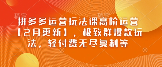 拼多多运营玩法课高阶运营【2月更新】，极致群爆款玩法，轻付费无尽复制等-策里行间