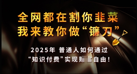 知识付费如何做到月入过W+，2025我来教你做“镰刀”【揭秘】-策里行间