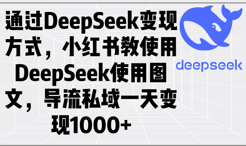 通过DeepSeek变现方式，小红书教使用DeepSeek图文，导流私域一天变现1000+-策里行间