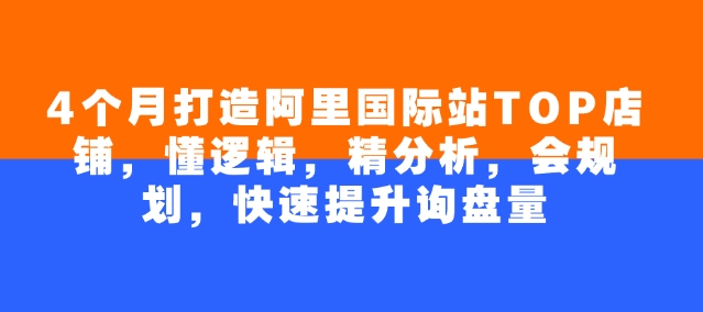 4个月打造阿里国际站TOP店铺，懂逻辑，精分析，会规划，快速提升询盘量-策里行间