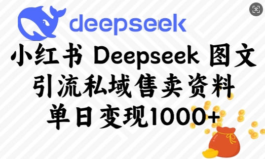 小红书Deepseek图文引流私域售卖资料，单日变现多张-策里行间