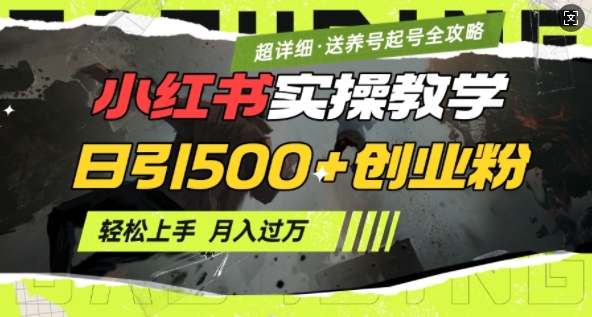 2月小红书最新日引500+创业粉实操教学【超详细】小白轻松上手，月入1W+，附小红书养号起号SOP-策里行间