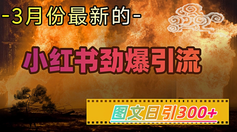 小红书超劲爆引流手段，图文日引300+轻松变现1W-策里行间