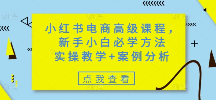 小红书电商高级课程，新手小白必学方法，实操教学+案例分析-策里行间