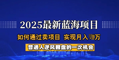 2025蓝海项目，普通人如何通过卖项目，实现月入过W，全过程【揭秘】-策里行间
