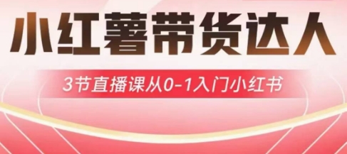 小红薯达人带货启航计划，3节直播课从0-1入门小红书-策里行间