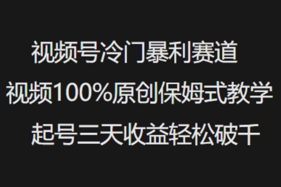 视频号冷门暴利赛道视频100%原创保姆式教学起号三天收益轻松破千-策里行间