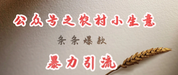 deepseek写农村小项目，条条爆款，暴力引流-策里行间