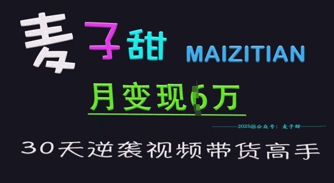 麦子甜30天逆袭视频带货高手，单月变现6W加特训营-策里行间