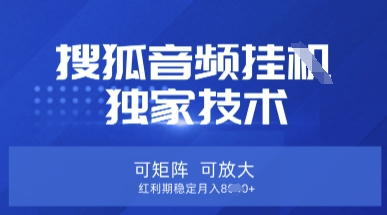 【搜狐音频挂G】独家技术，可矩阵可放大，红利期稳定月入8k【揭秘】-策里行间