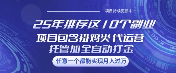 25年推荐这10个副业项目包含褂鸡类、代运营托管类、全自动打金类【揭秘】-策里行间