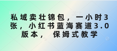 私域卖壮锦包，一小时3张，小红书蓝海赛道3.0版本， 保姆式教学-策里行间