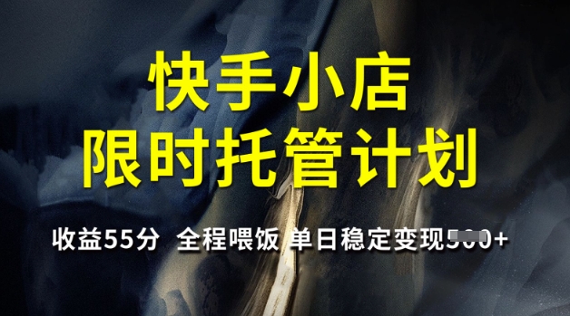 快手小店限时托管计划，收益55分，全程喂饭，单日稳定变现5张【揭秘】-策里行间
