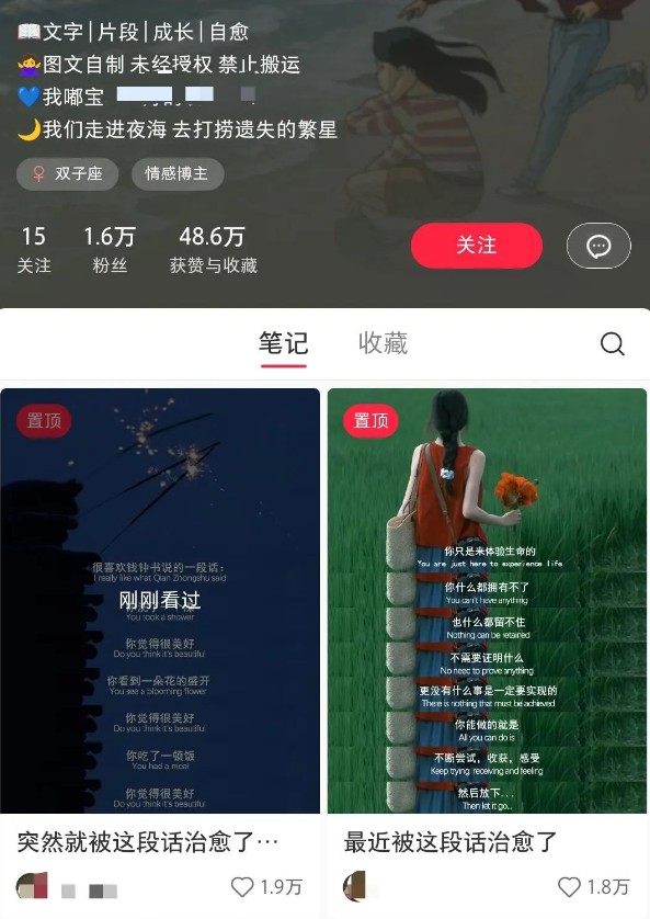 小红书治愈文案图文笔记，零门槛，一分钟制作轻松制作爆款作品月入万元-策里行间