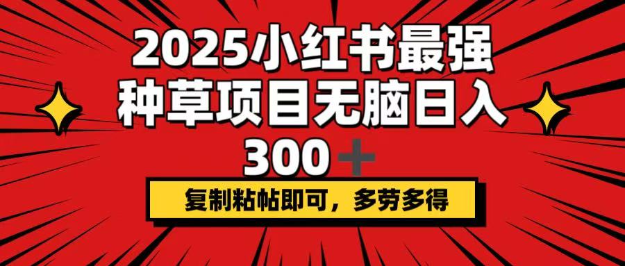 2025小红书最强种草项目，无脑日入300+，复制粘帖即可，多劳多得-策里行间