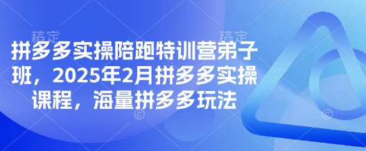 拼多多实操陪跑特训营弟子班，2025年2月拼多多实操课程，海量拼多多玩法-策里行间