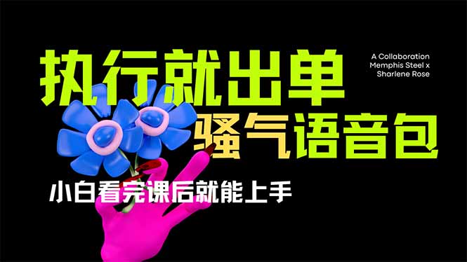 爆火全网的开车导航骚气语音包,只要执行就出单，小白看完课程就能实操…-策里行间