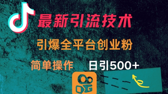 最新引流方法，引爆全平台的一个创业粉，简单操作日引300+-策里行间