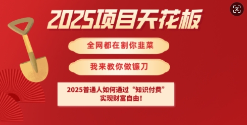 2025项目天花板普通人如何通过知识付费，实现财F自由【揭秘】-策里行间