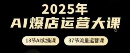 2025年AI爆店运营大课，13节AI实操课+37节流量运营课-策里行间