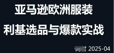 跨境电商选品案例24-25年，聚焦跨境电商选品策略与运营优化，助力卖家挖掘蓝海市场-策里行间