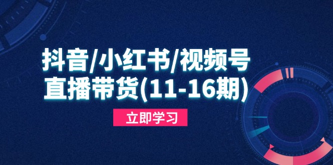 抖音/小红书/视频号/直播带货(11-16期-策里行间