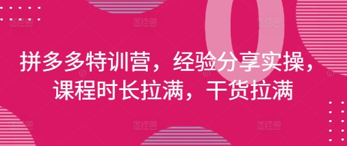 拼多多特训营，经验分享实操，课程时长拉满，干货拉满(更新25年4月)-策里行间