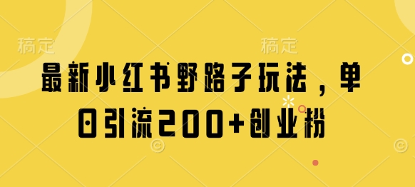 最新小红书野路子玩法，单日引流200+创业粉-策里行间